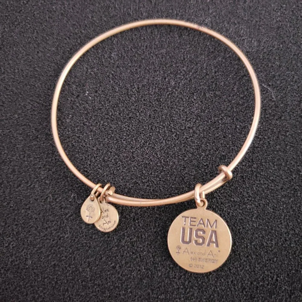 RARE - Alex and Ani - ATHENA MINERVA Charm Bracelet Bangle 31 - Picture 3 of 4